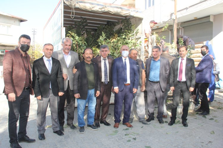 Gölbaşı'nda Hurma fidanı dağıtıldı